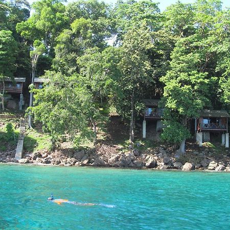 Treetop Guesthouse And Bungalows 사방 외부 사진
