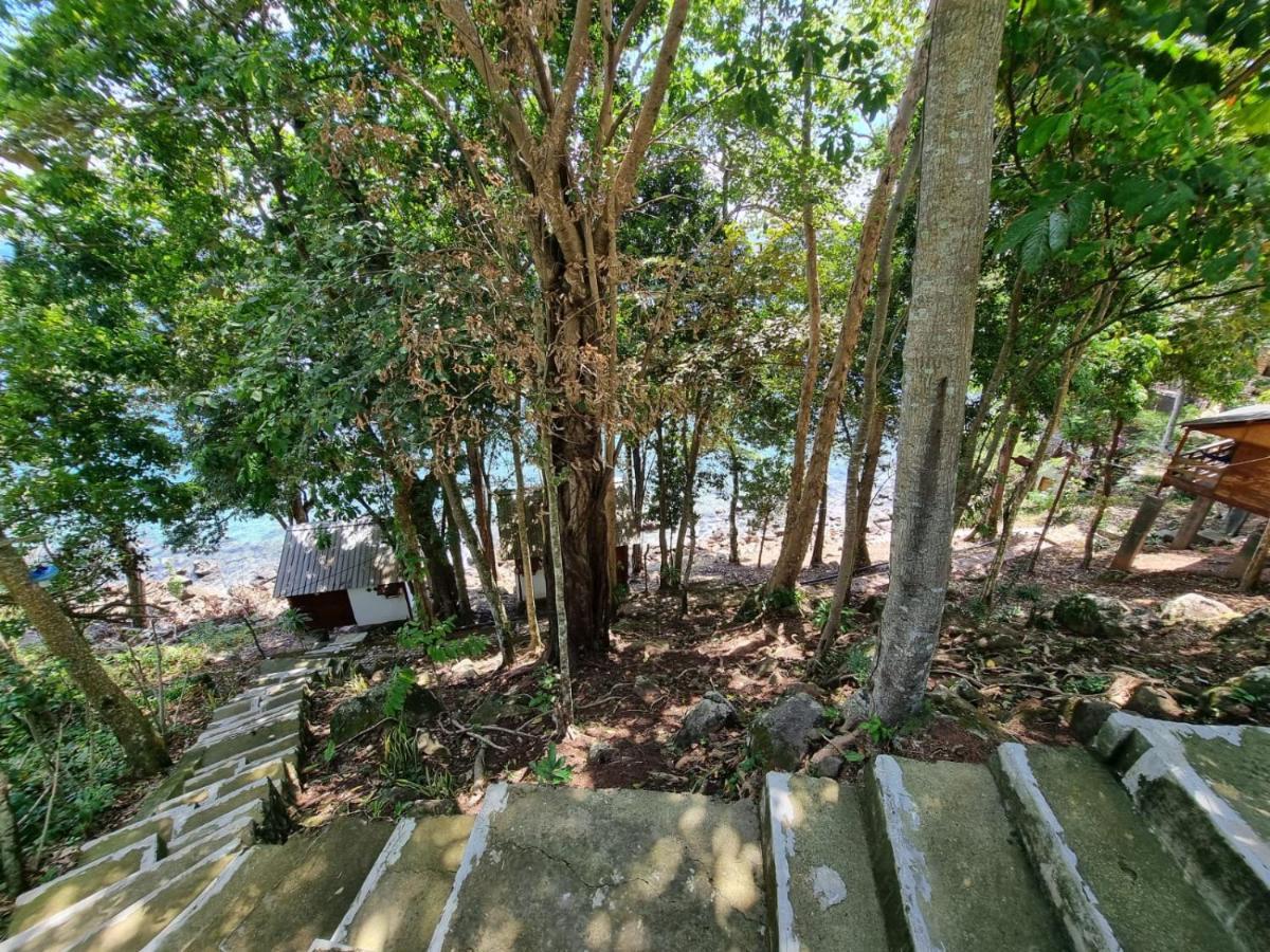 Treetop Guesthouse And Bungalows 사방 외부 사진