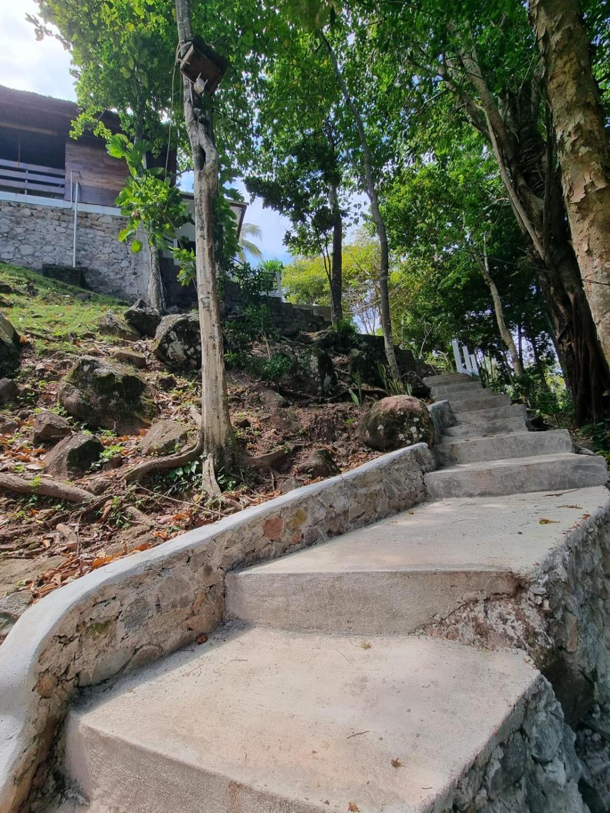 Treetop Guesthouse And Bungalows 사방 외부 사진