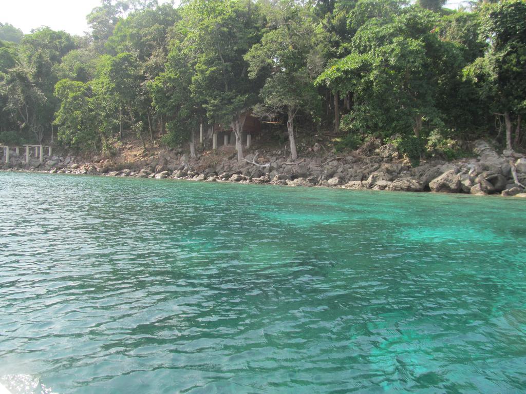 Treetop Guesthouse And Bungalows 사방 외부 사진