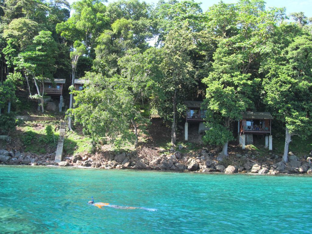 Treetop Guesthouse And Bungalows 사방 외부 사진